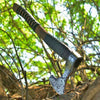 Engraved Viking Axe with Ashwood Handle Sigurd AXE103BLK